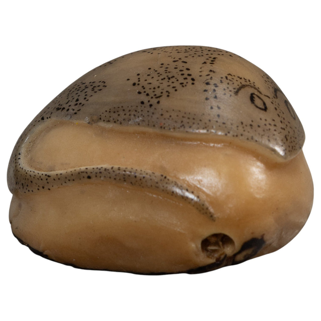 Vintage Ocean Stingray Tagua Carving