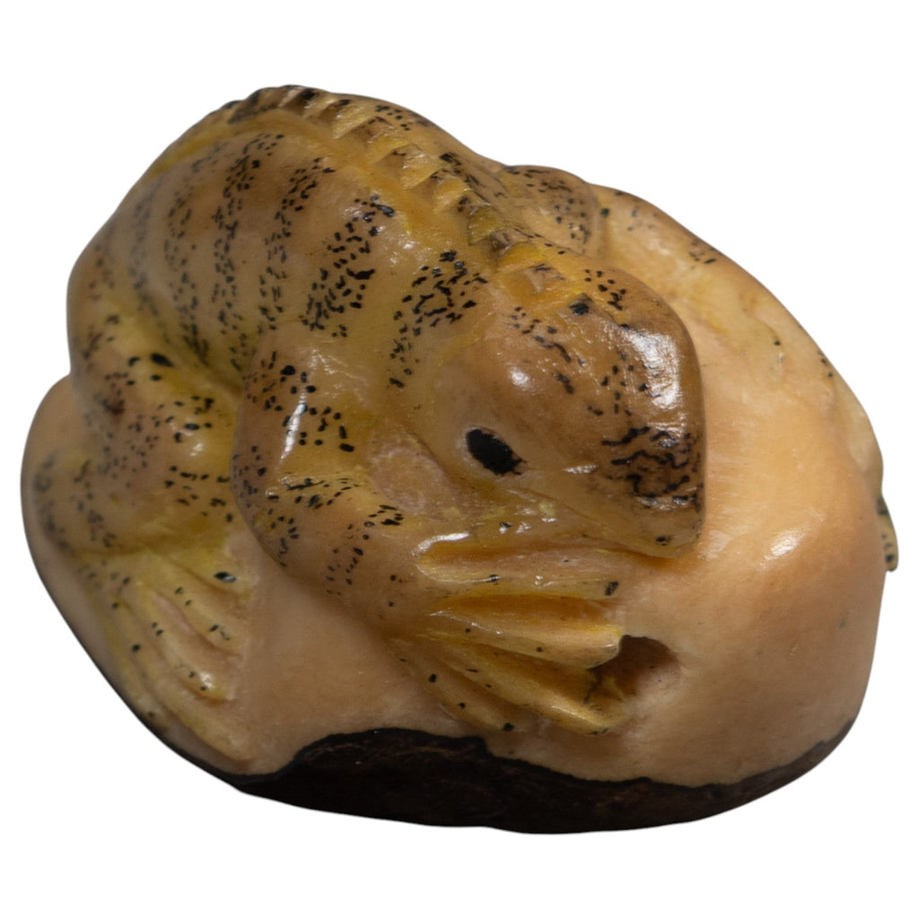 Vintage Brown And Tan Gecko Lizard Tagua Carving