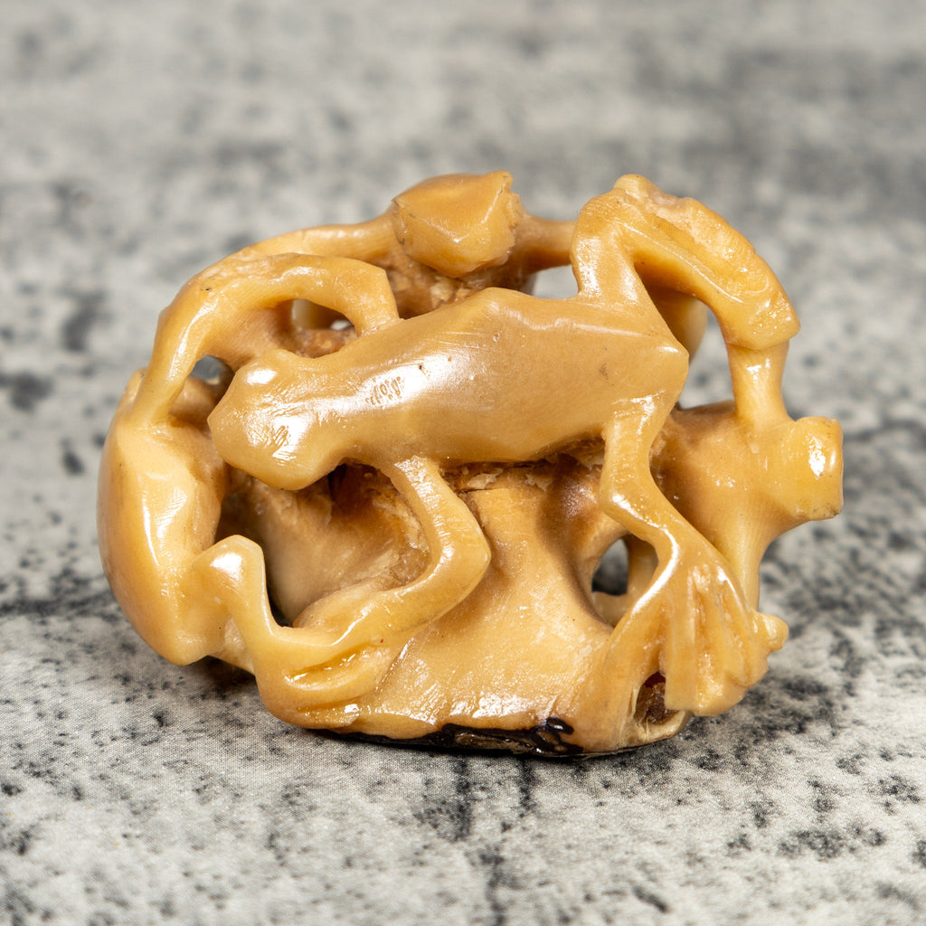 Multiple Natural White Frog Tagua Carving