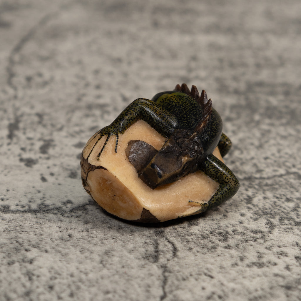 Vintage Dark Green Iguana Lizard Amphibian Tagua Carving