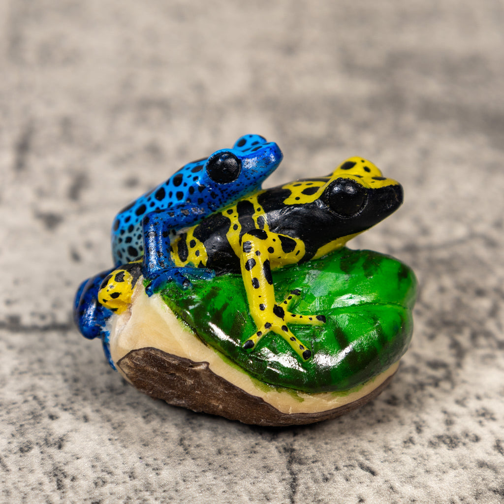Two Poison Dart Frog Tagua Carving