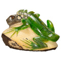 Iguana Lizard Tagua Nut Carving