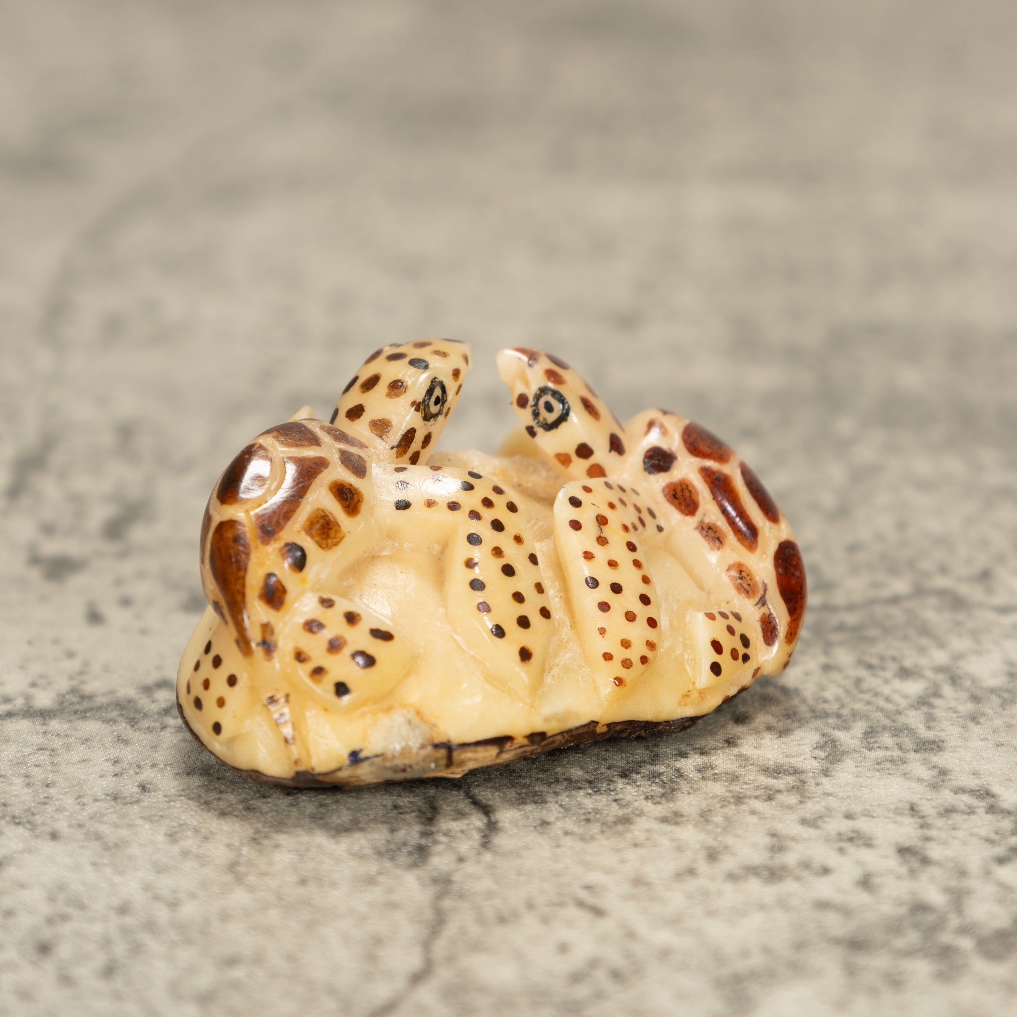 Two Sea Turtle Tagua Nut Carving