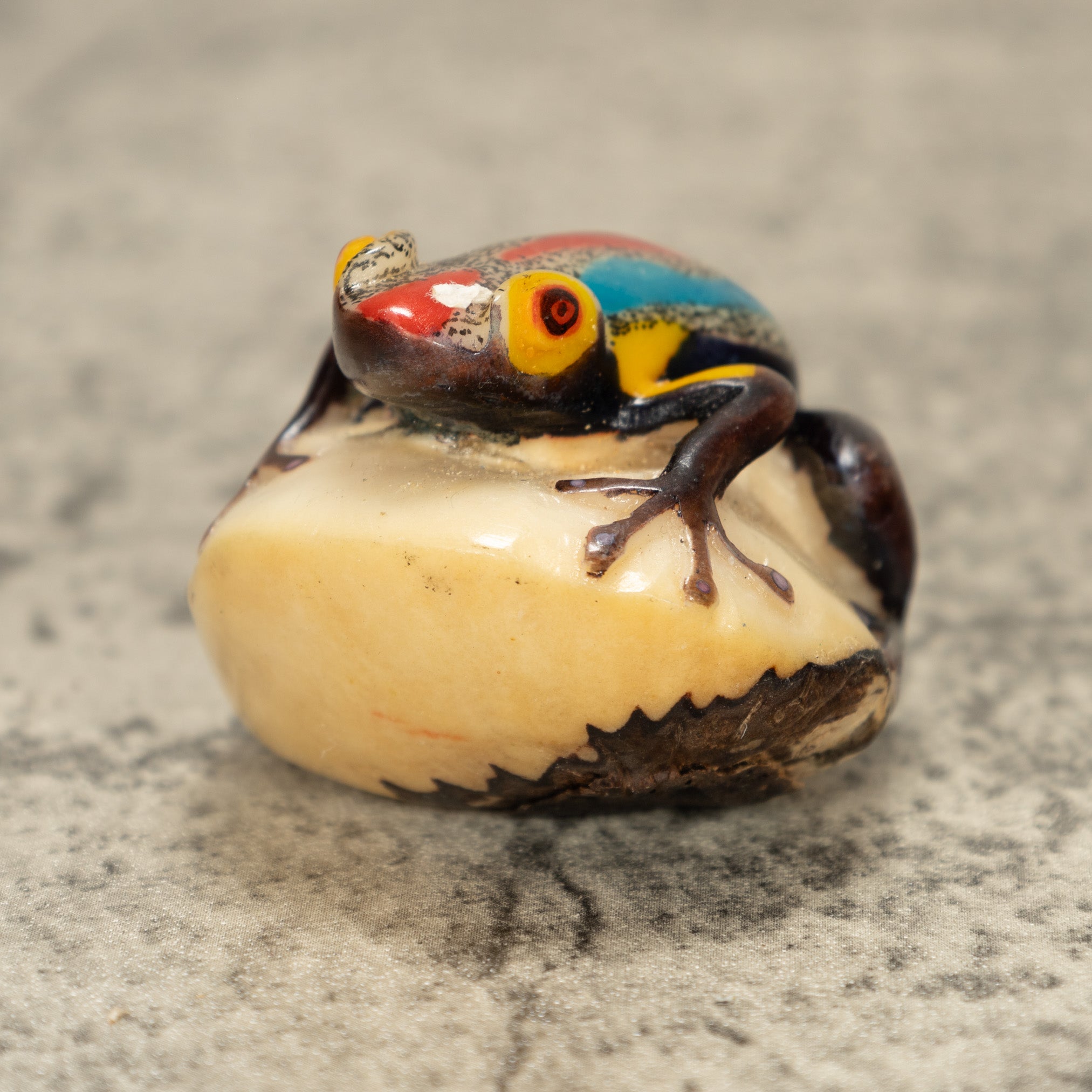 Poison Dart Frog Tagua Nut Carving