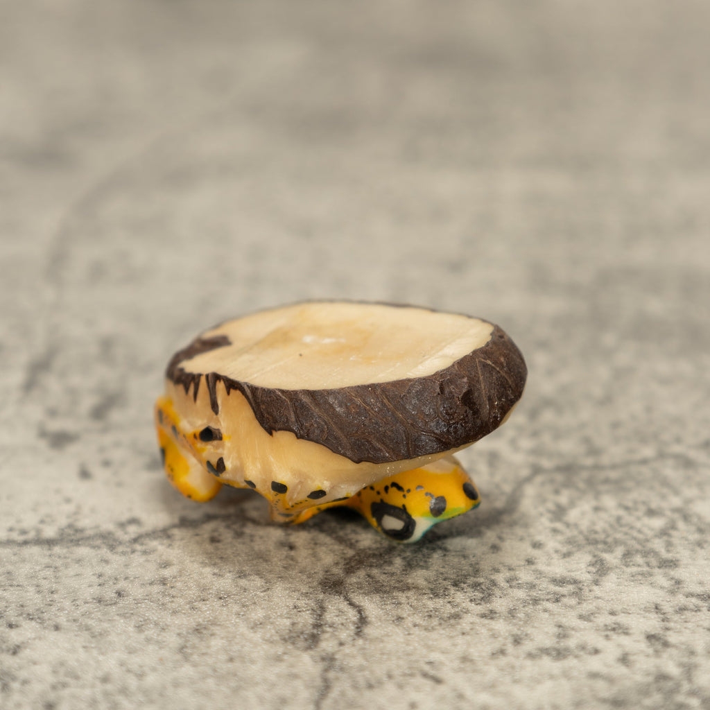 Poison Dart Frog Tagua Nut Carving