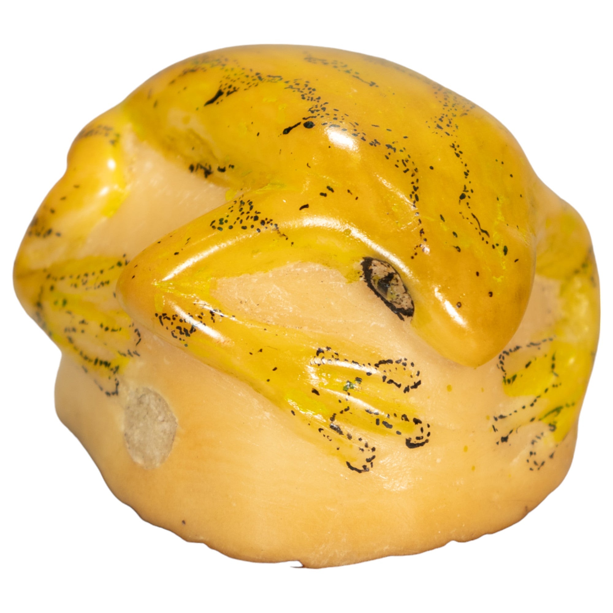 Poison Dart Frog Tagua Nut Carving