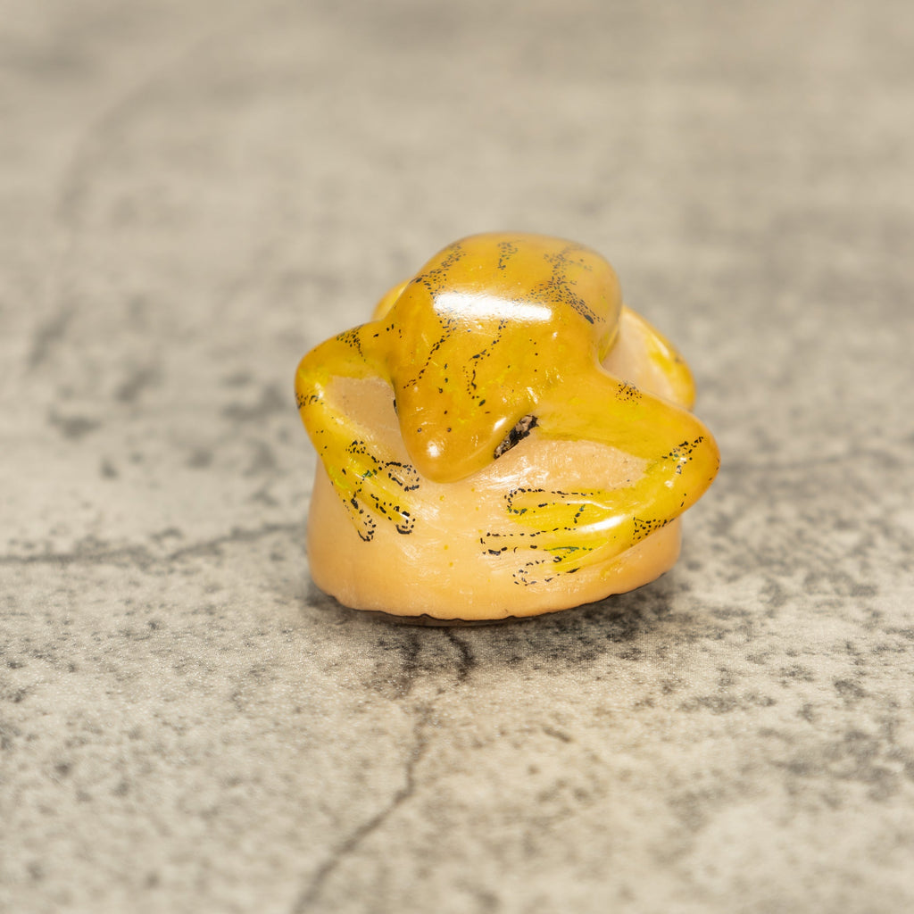 Poison Dart Frog Tagua Nut Carving