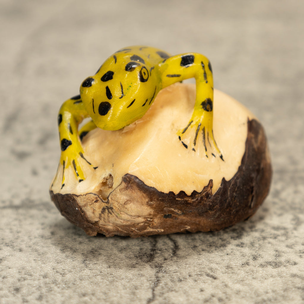 Poison Dart Frog Tagua Nut Carving