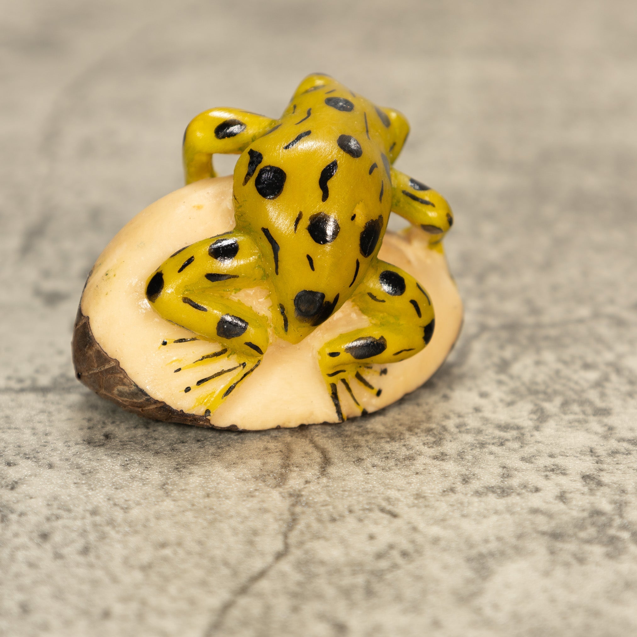 Poison Dart Frog Tagua Nut Carving