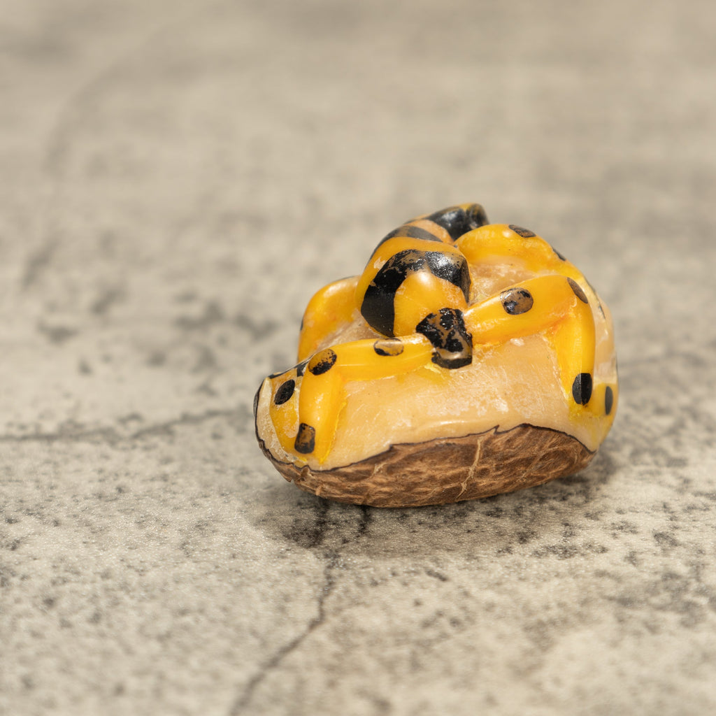 Poison Dart Frog Tagua Nut Carving