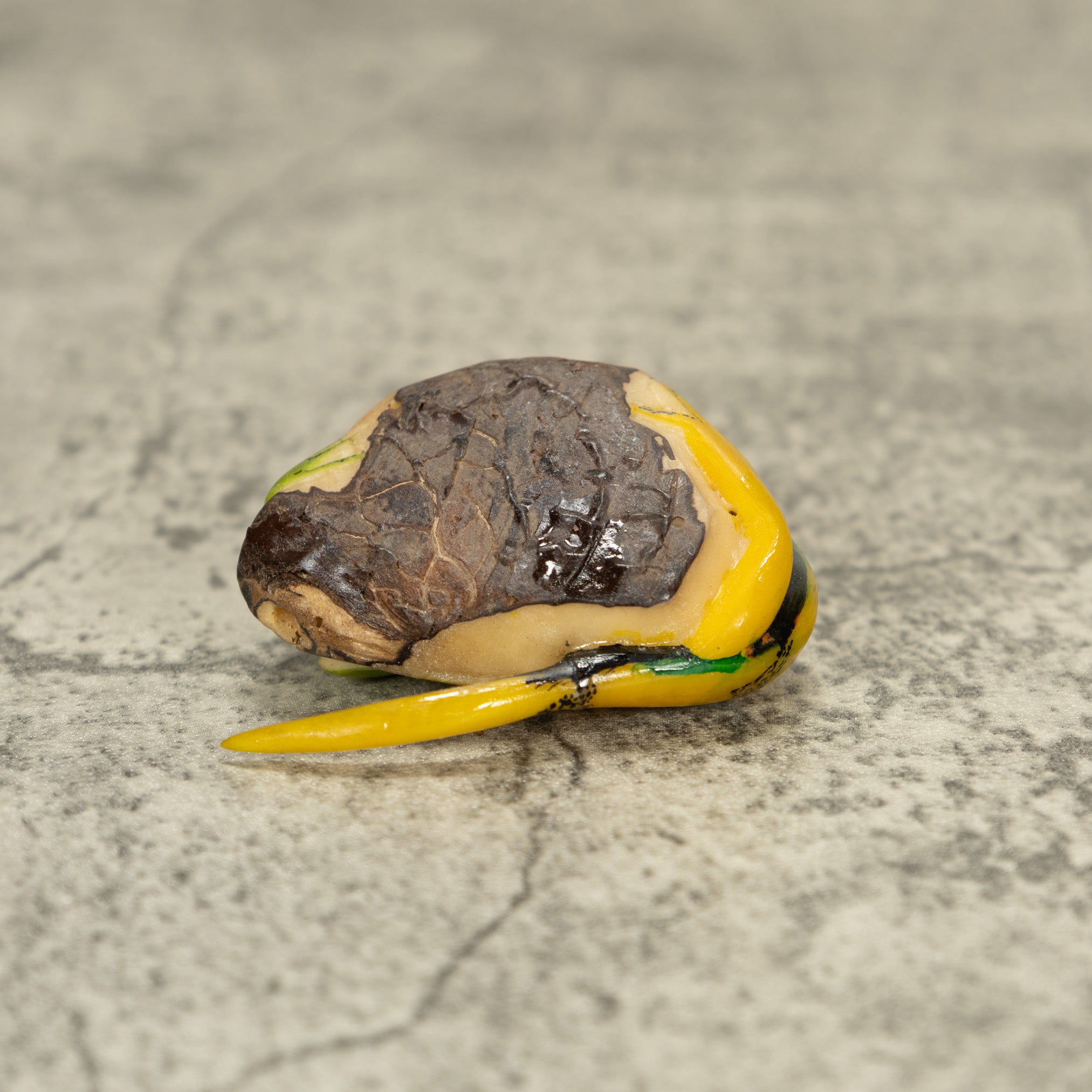 Yellow And Green Gecko And Frog Tagua Nut Carving
