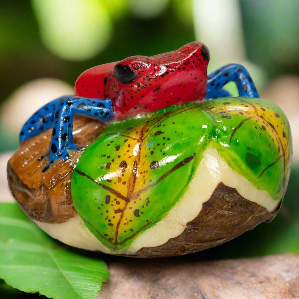 Red And Blue Poison Dart Frog Tagua Nut Carving