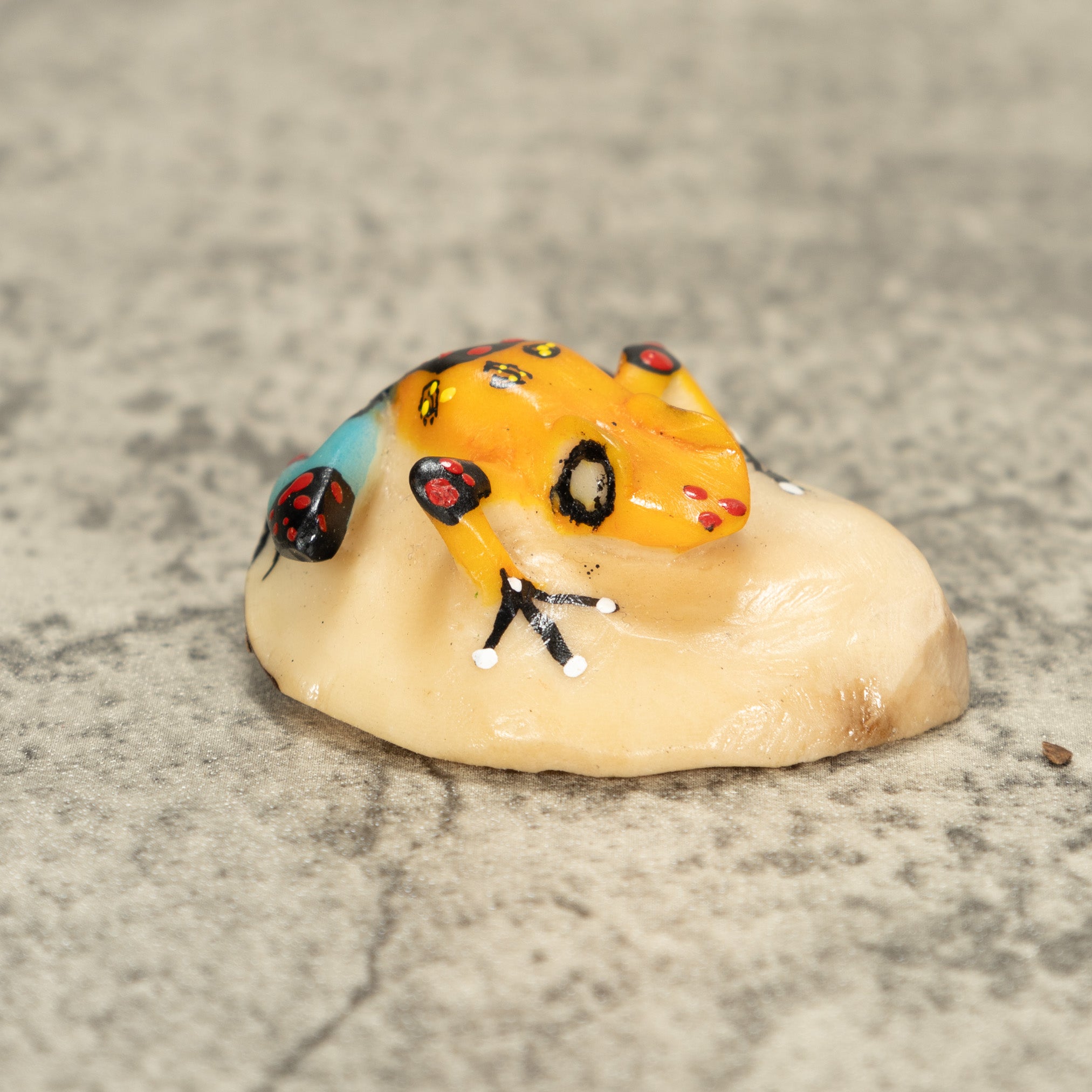 Poison Dart Frog Tagua Nut Carving