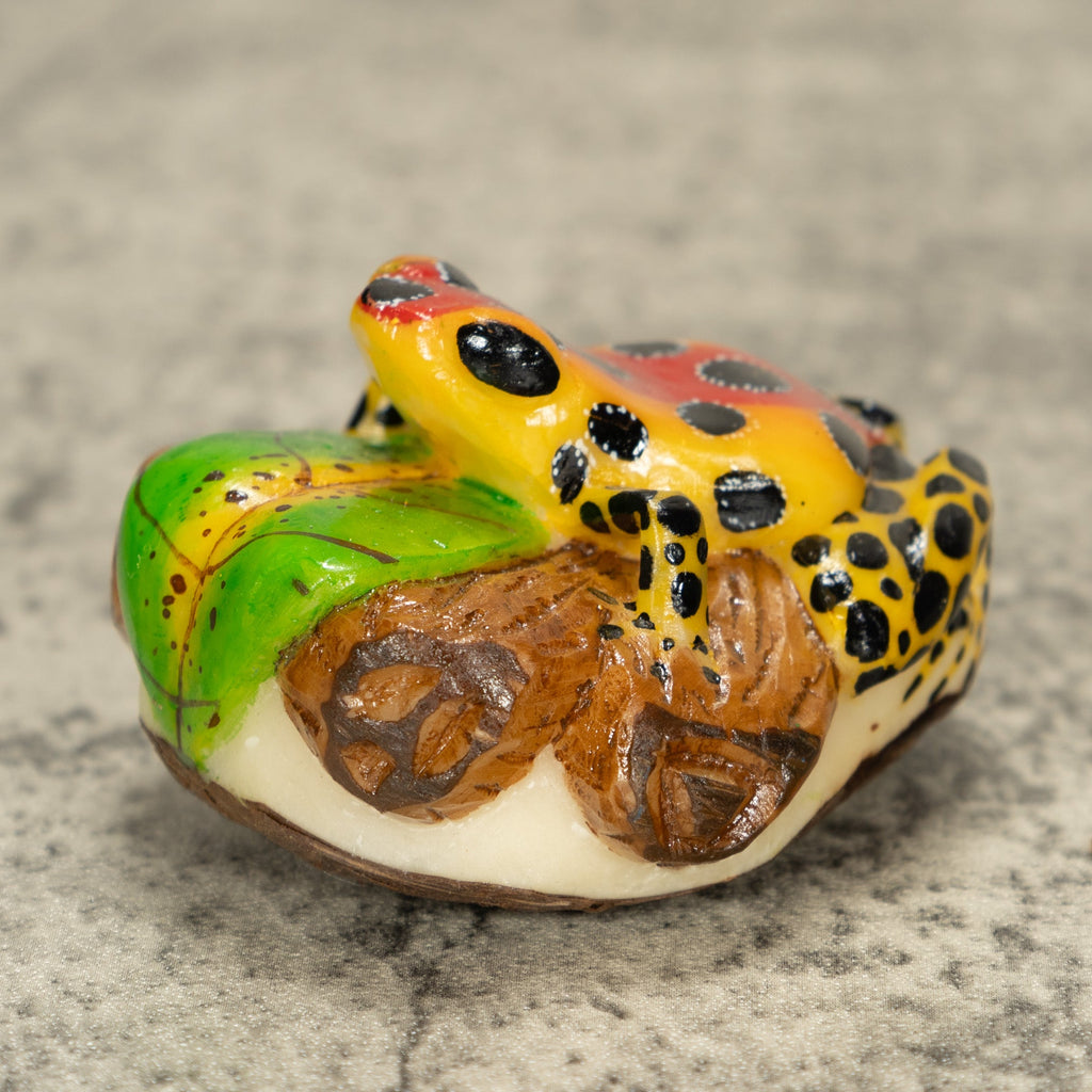 Orange And Red Poison Dart Frog Tagua Nut Carving