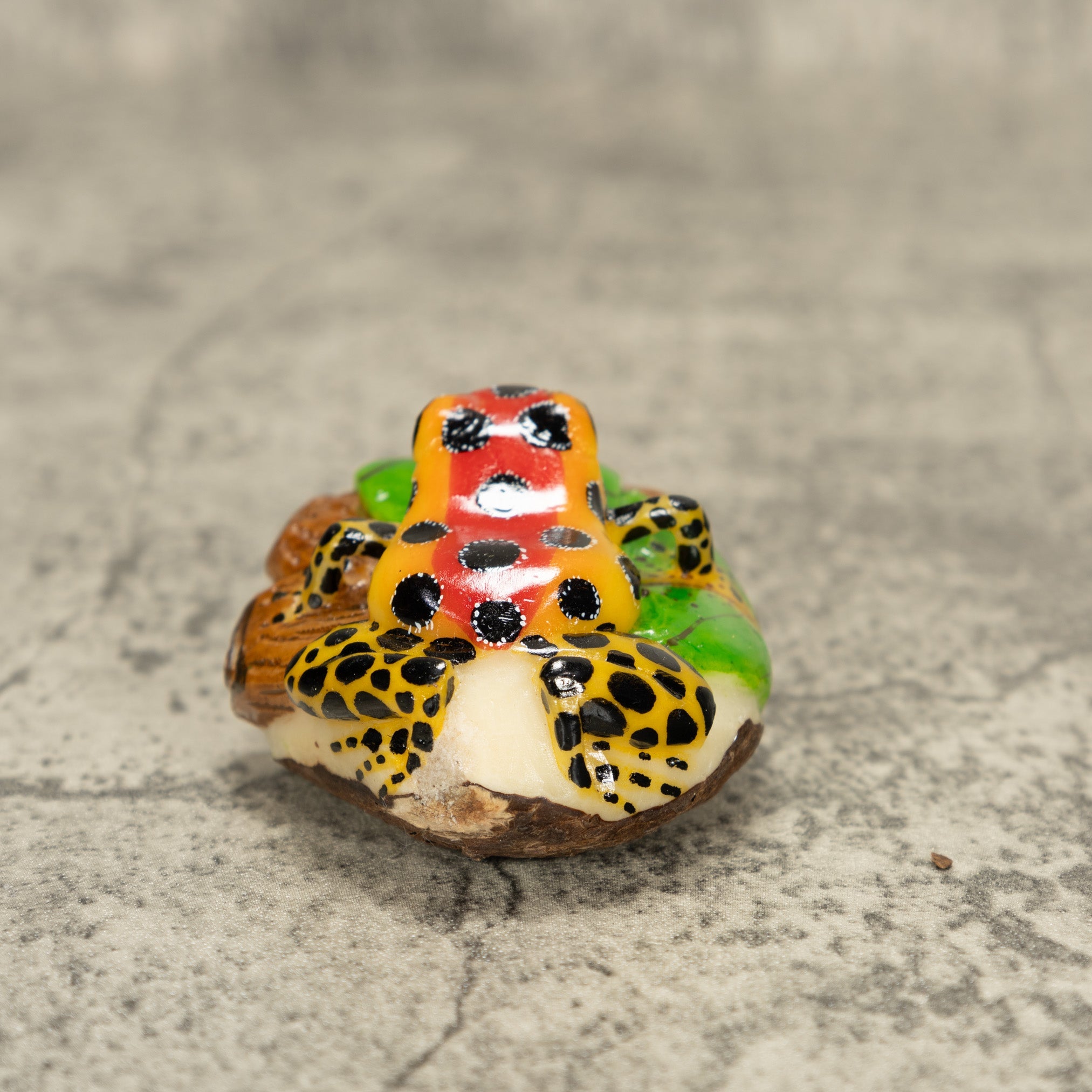 Orange And Red Poison Dart Frog Tagua Nut Carving
