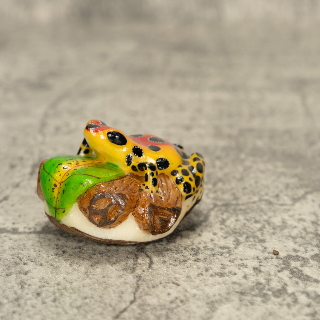 Orange And Red Poison Dart Frog Tagua Nut Carving
