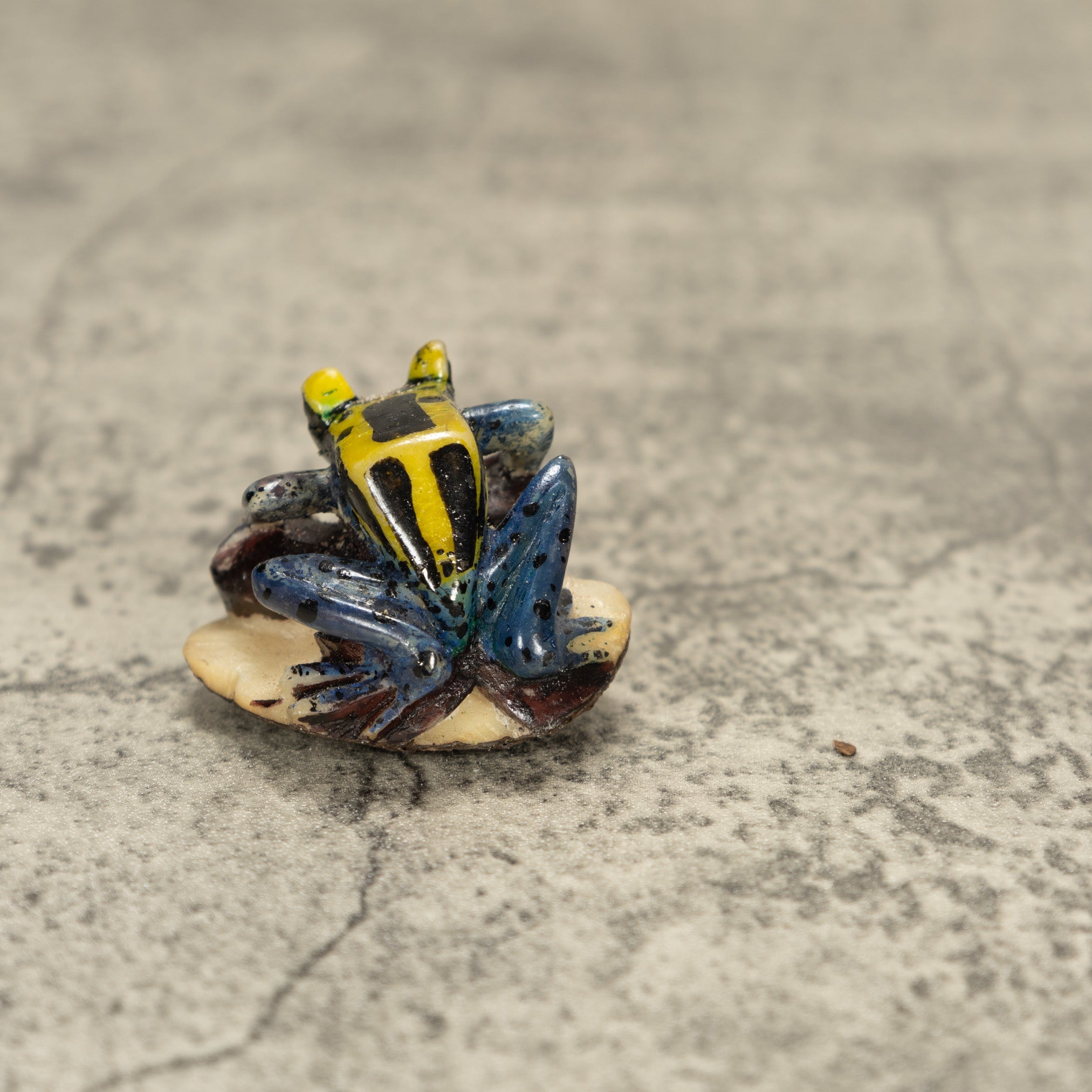 Poison Dart Frog Tagua Nut Carving