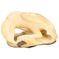 White Toucan Parrot Bird Tagua Nut Carving