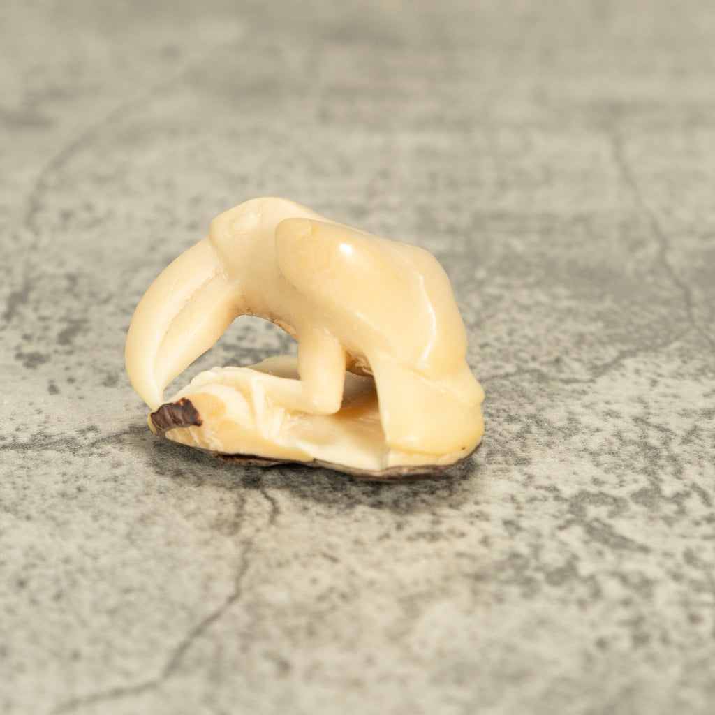 White Toucan Parrot Bird Tagua Nut Carving