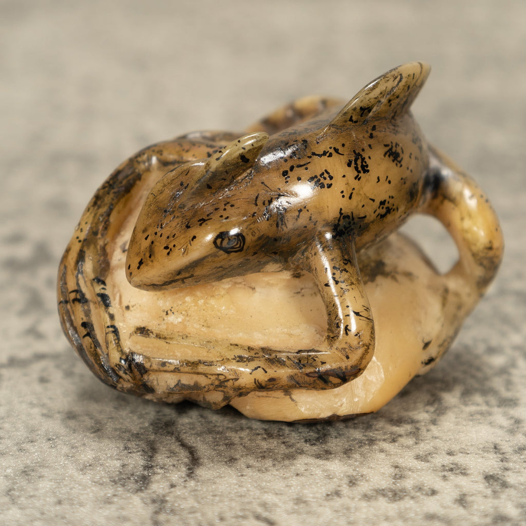 Jesus Lizard Tagua Nut Carving