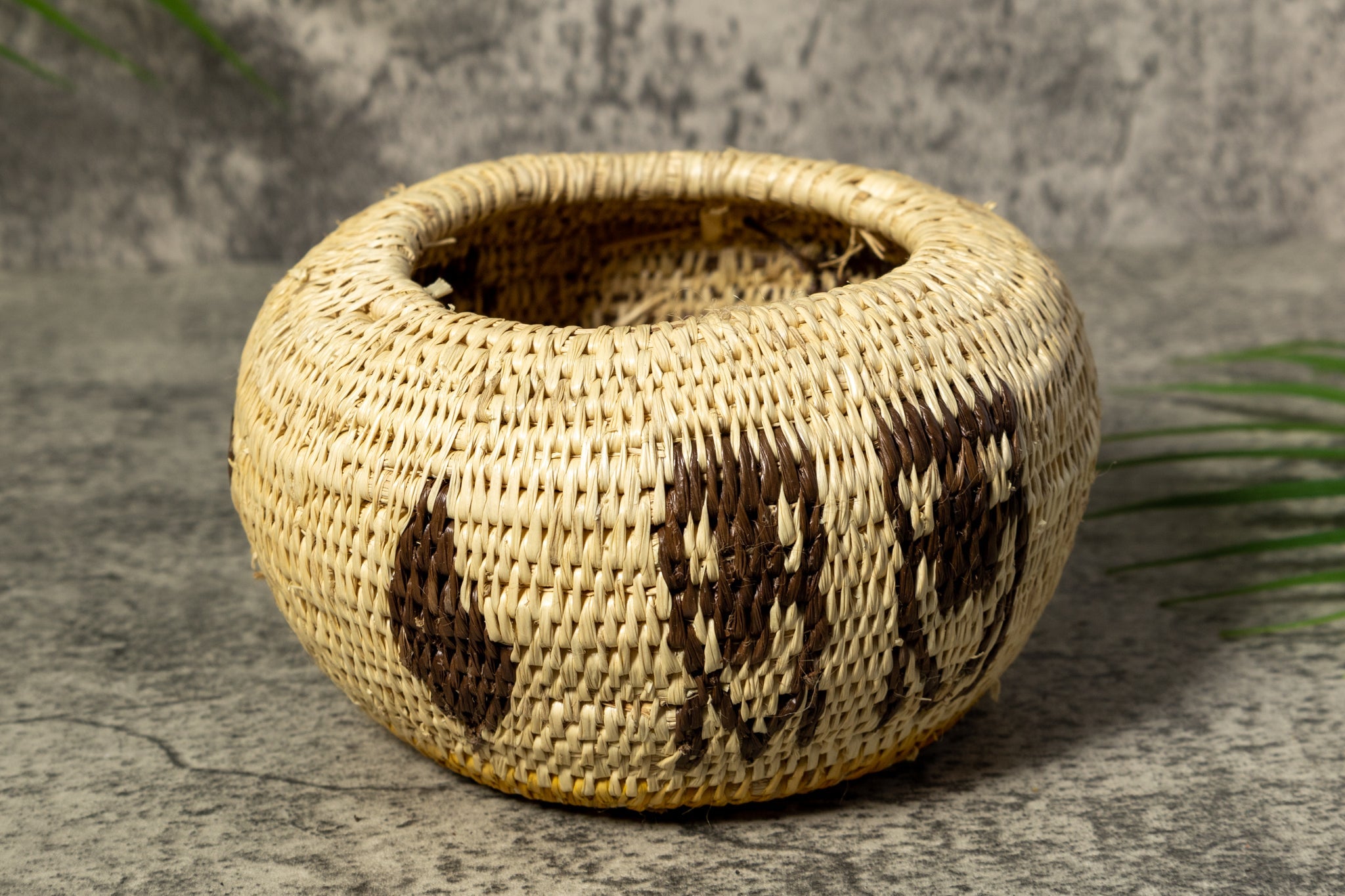 Owl Bird Rainforest Vintage Basket