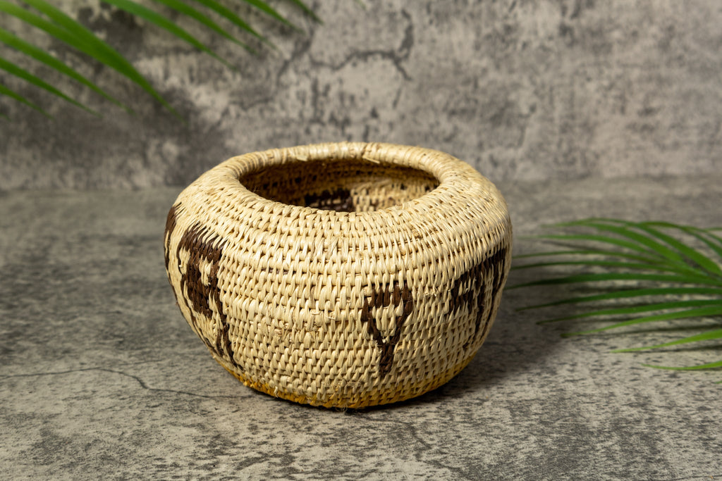 Owl Bird Rainforest Vintage Basket
