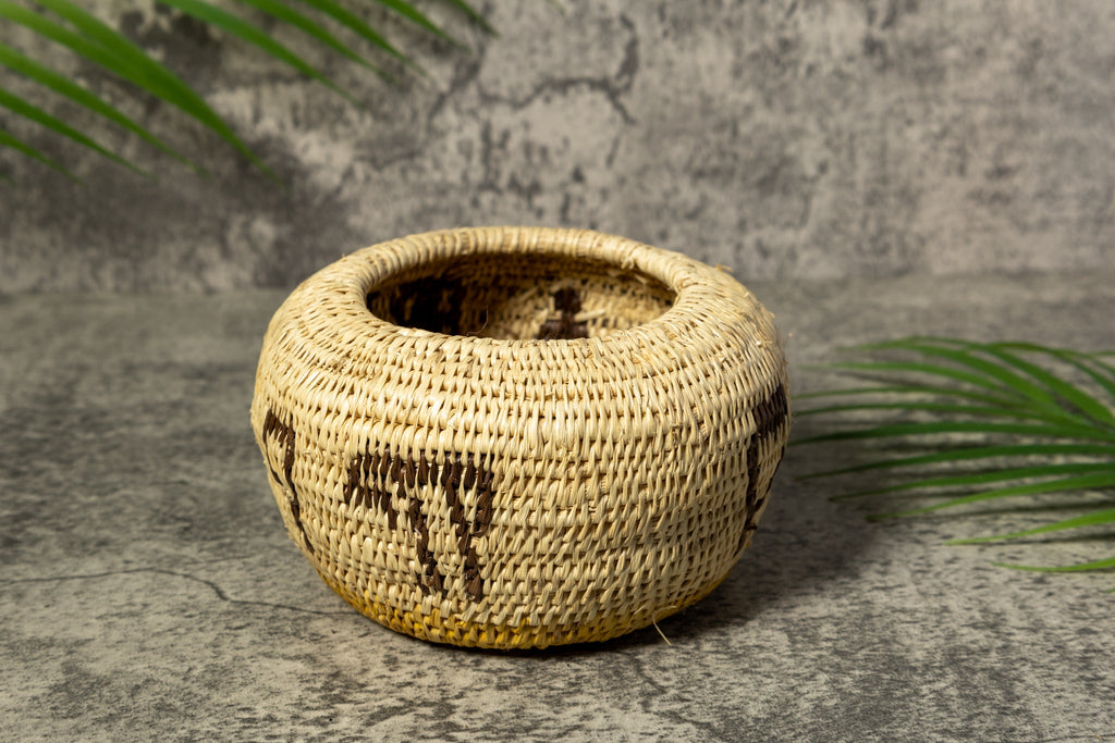 Owl Bird Rainforest Vintage Basket