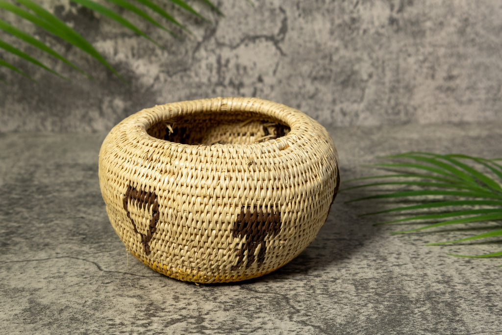 Owl Bird Rainforest Vintage Basket