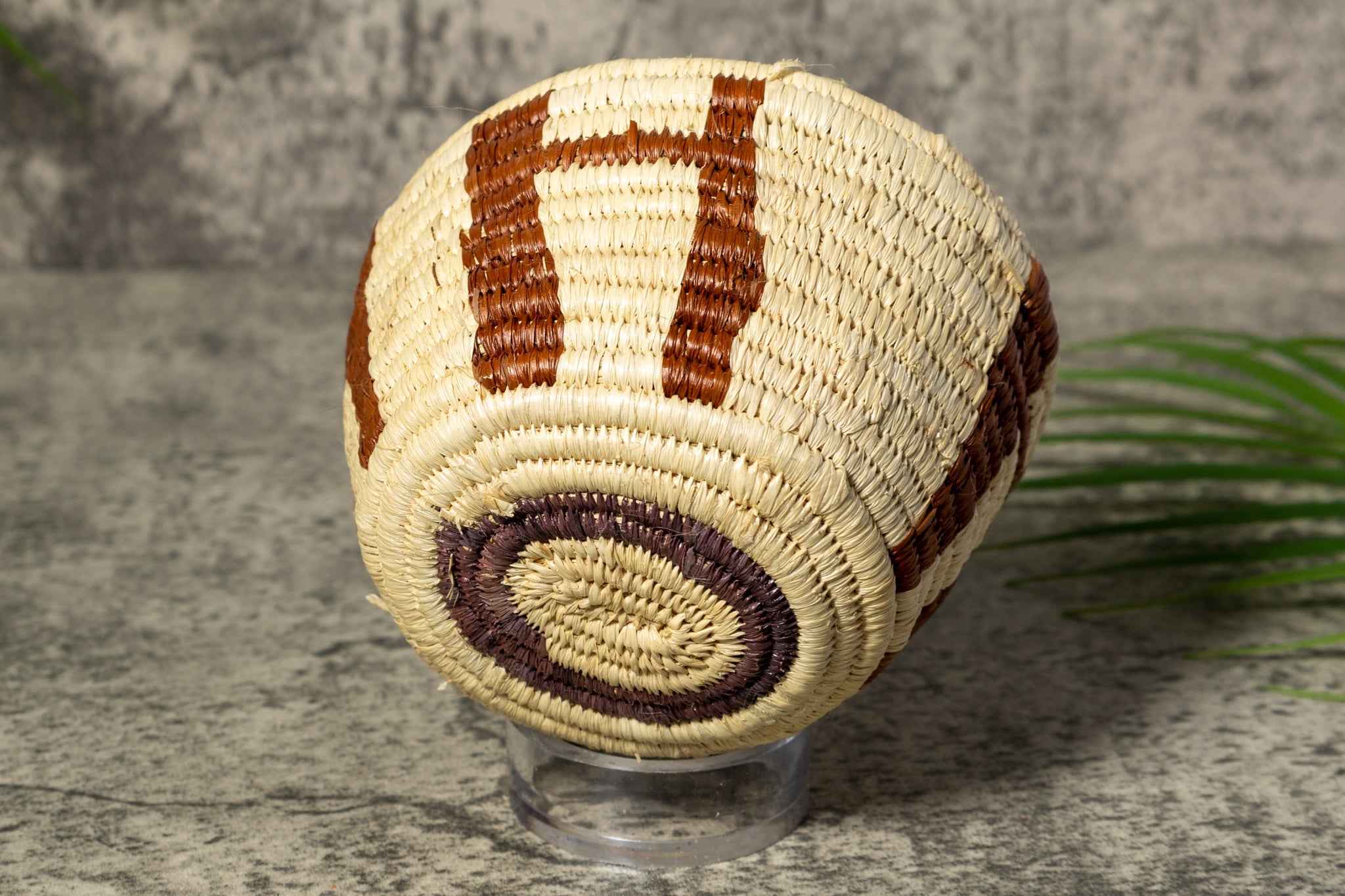 Brown and White Rainforest Vintage Basket