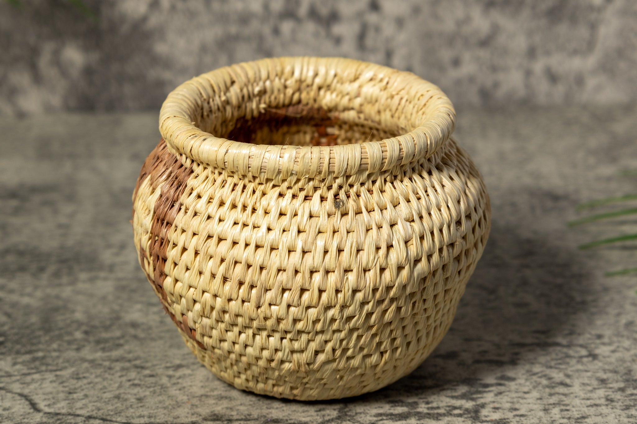 Brown and White Rainforest Vintage Basket