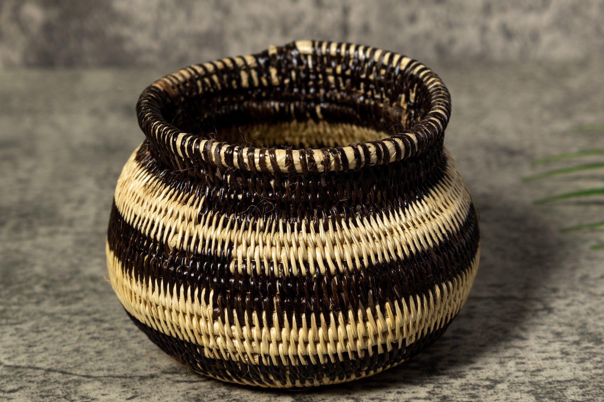 Black and White Rainforest Vintage Basket