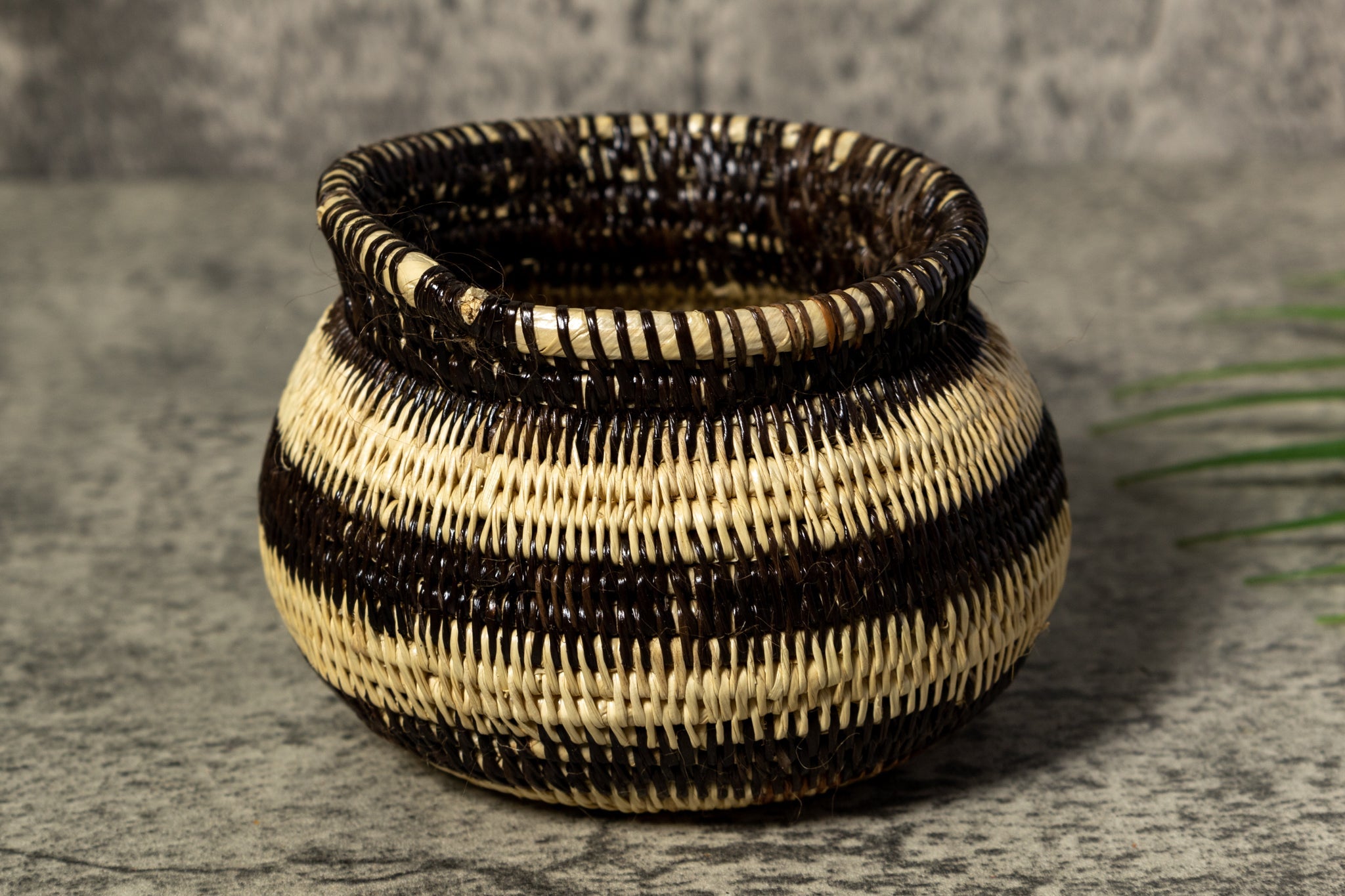 Black and White Rainforest Vintage Basket