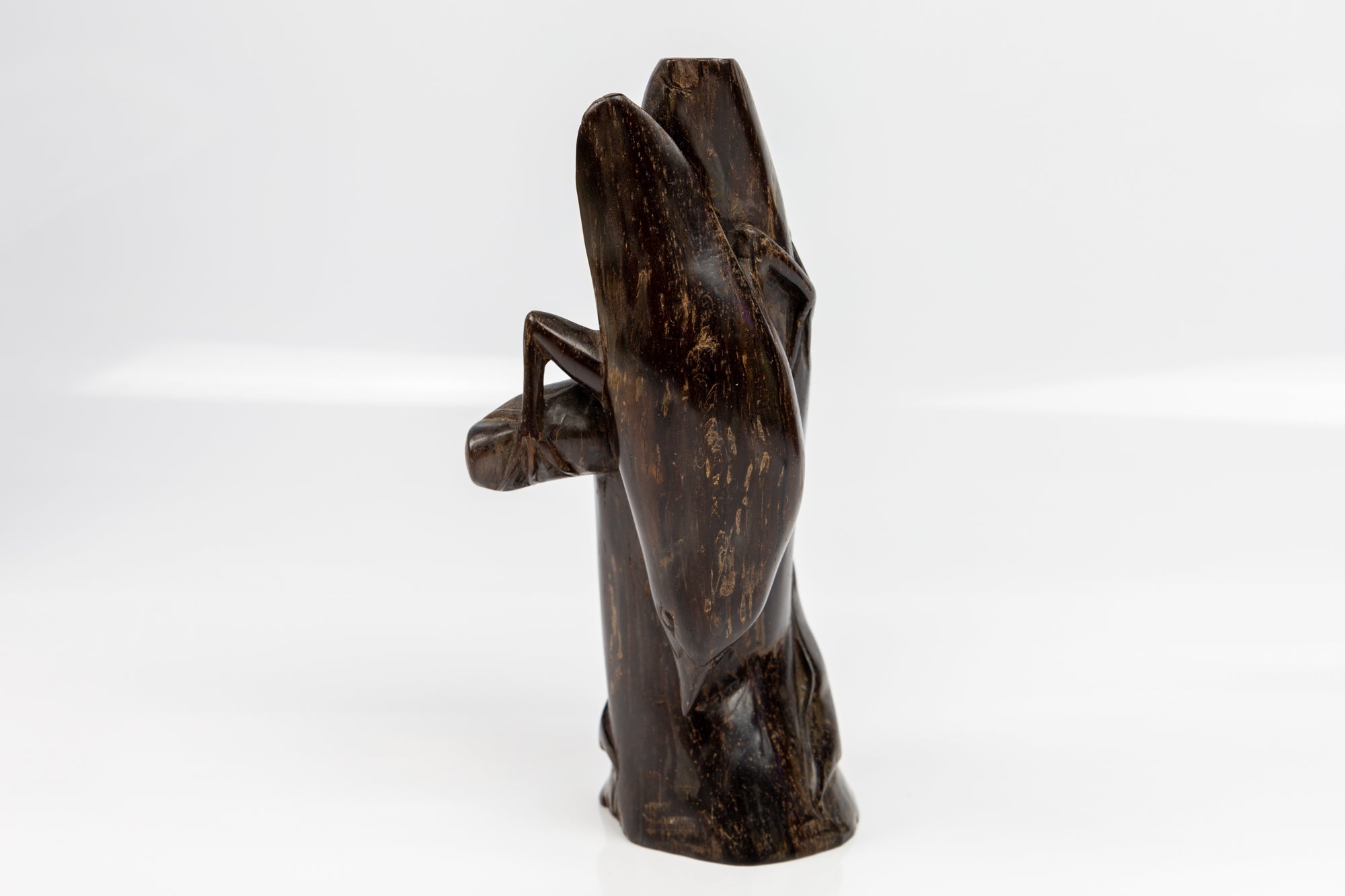 Jungle Bird Figurine, Wood Carving
