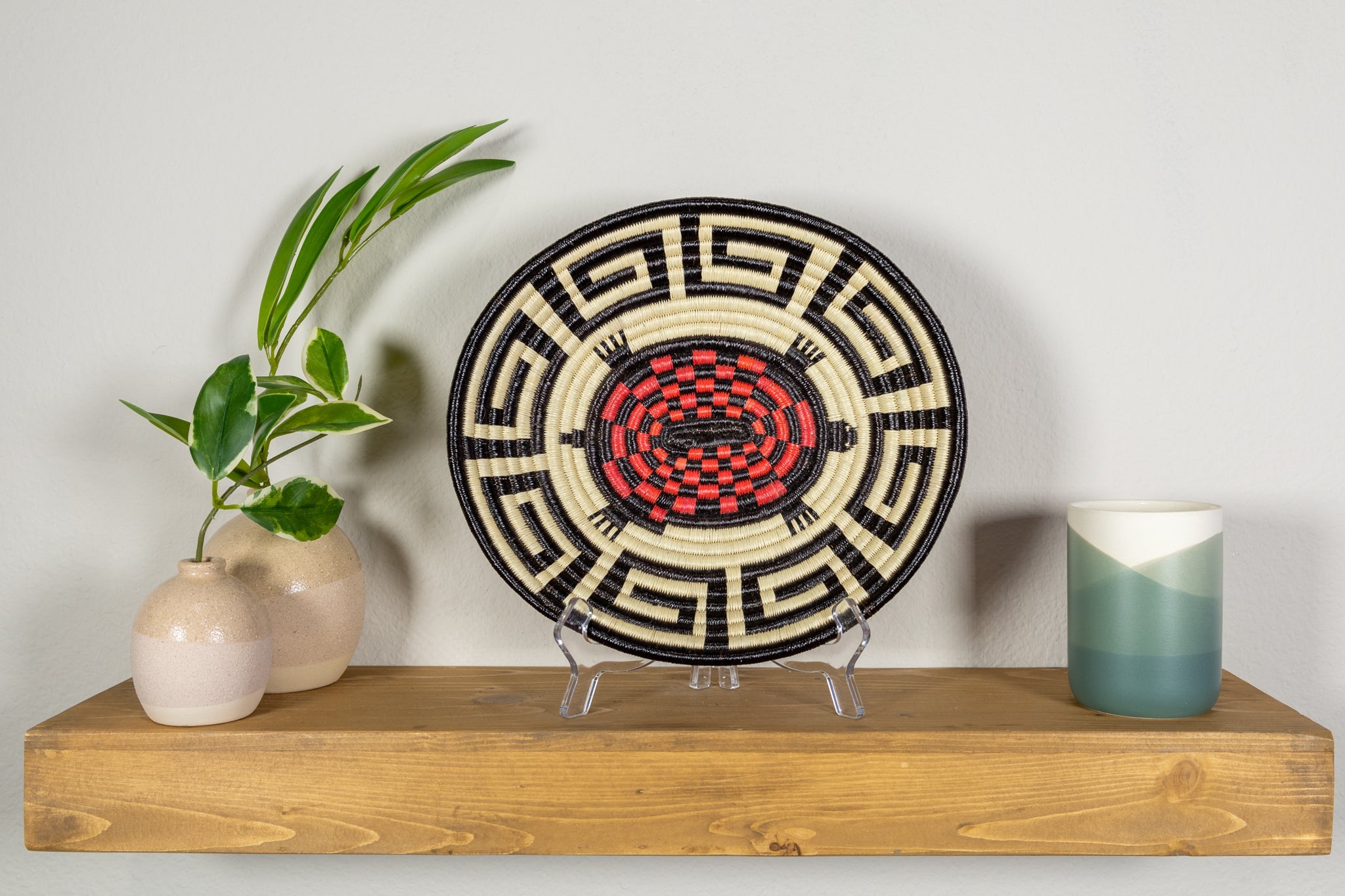 Galapagos Tortoise Basket Plate