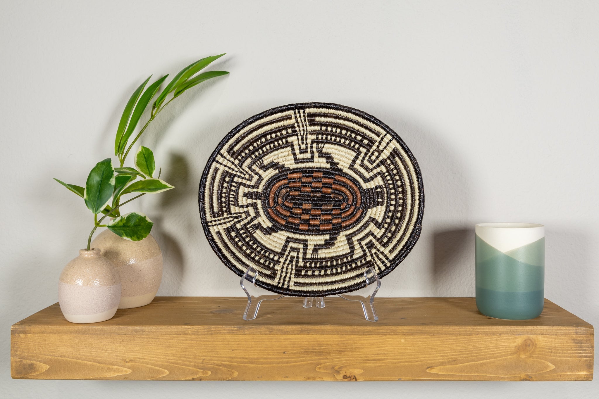 Galapagos Tortoise Basket Plate