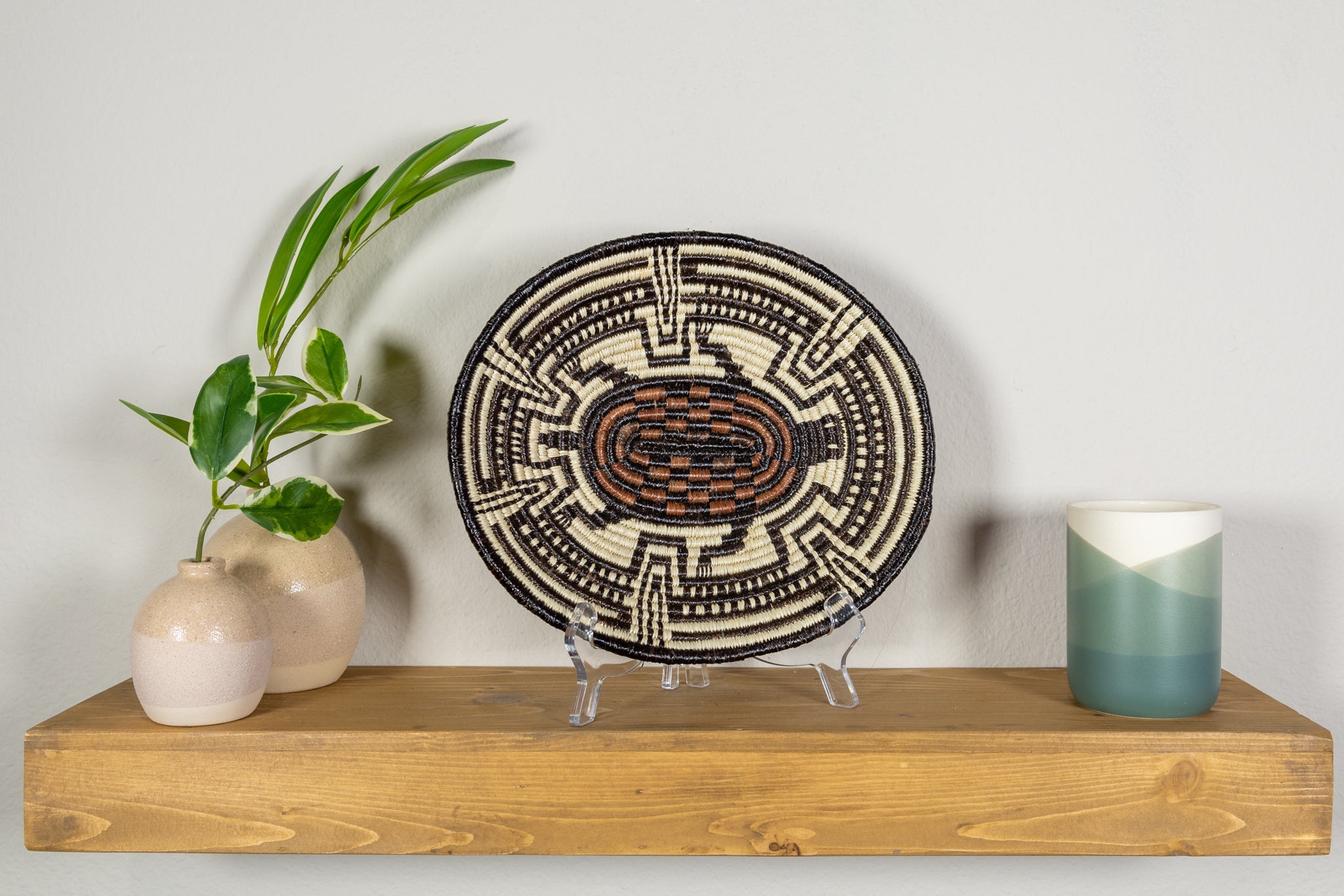 Galapagos Tortoise Basket Plate