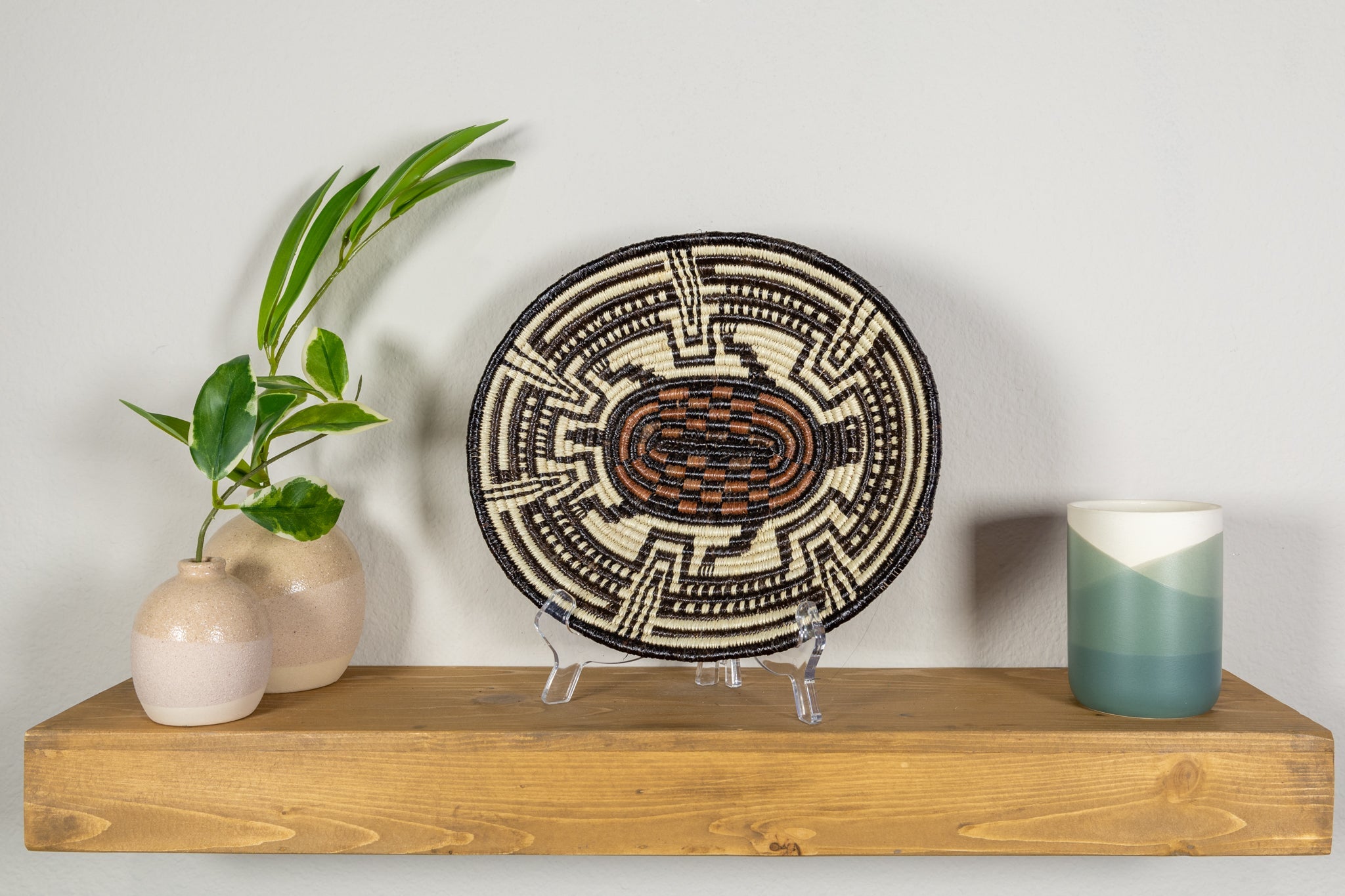 Galapagos Tortoise Basket Plate