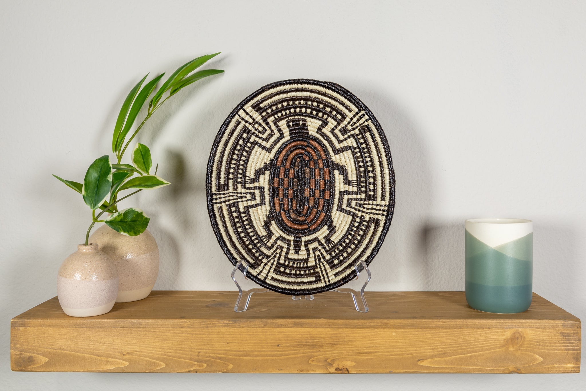 Galapagos Tortoise Basket Plate