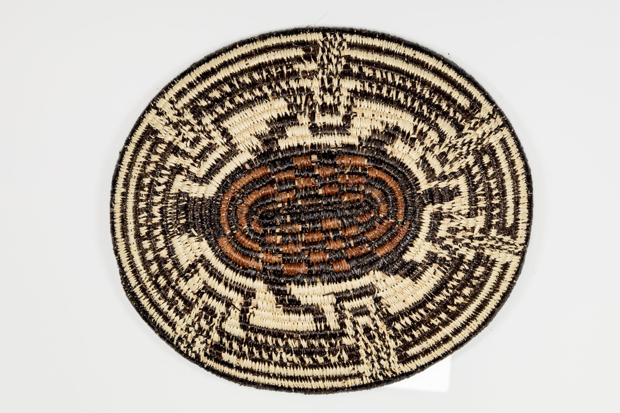 Galapagos Tortoise Basket Plate