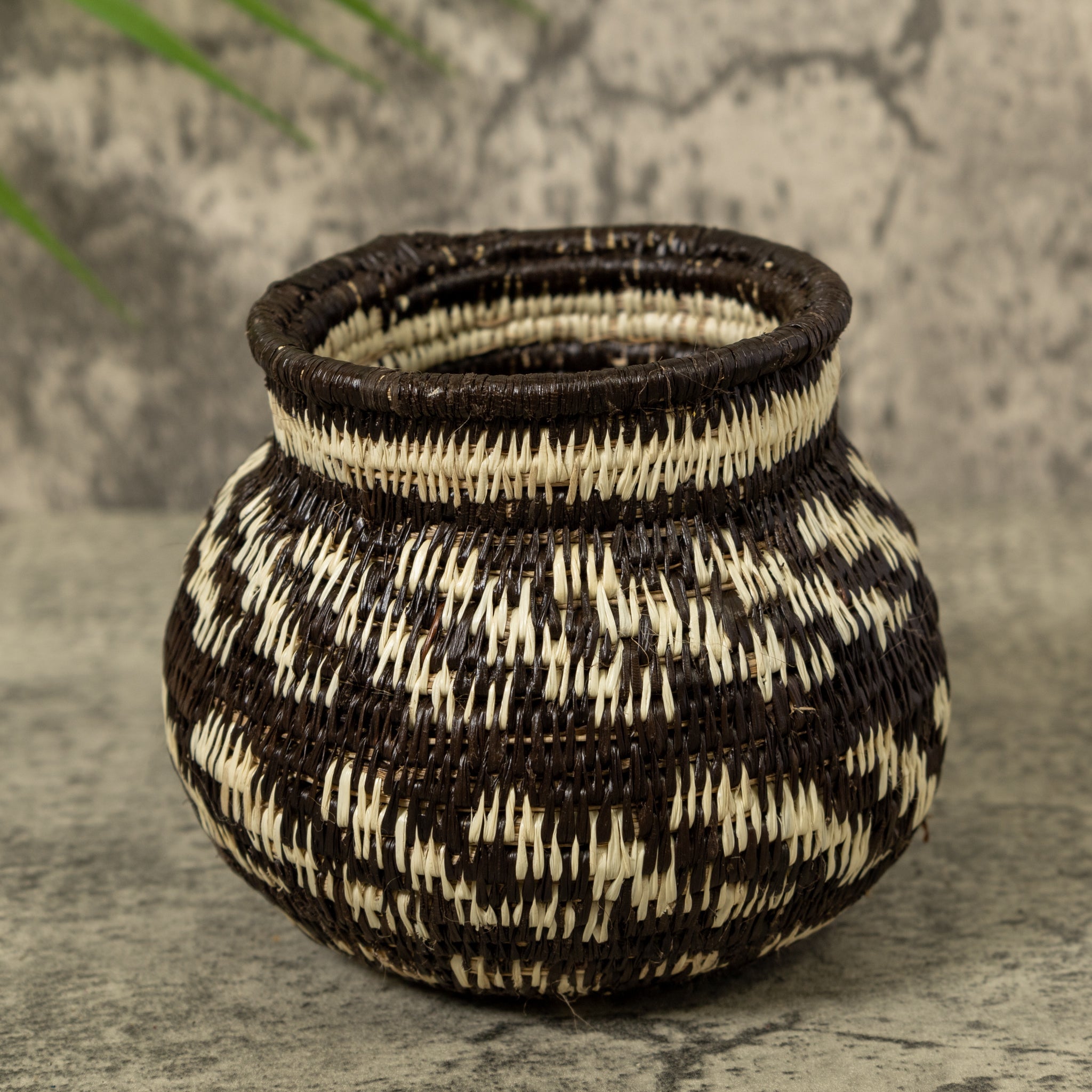 Small Black And White Rainforest Basket