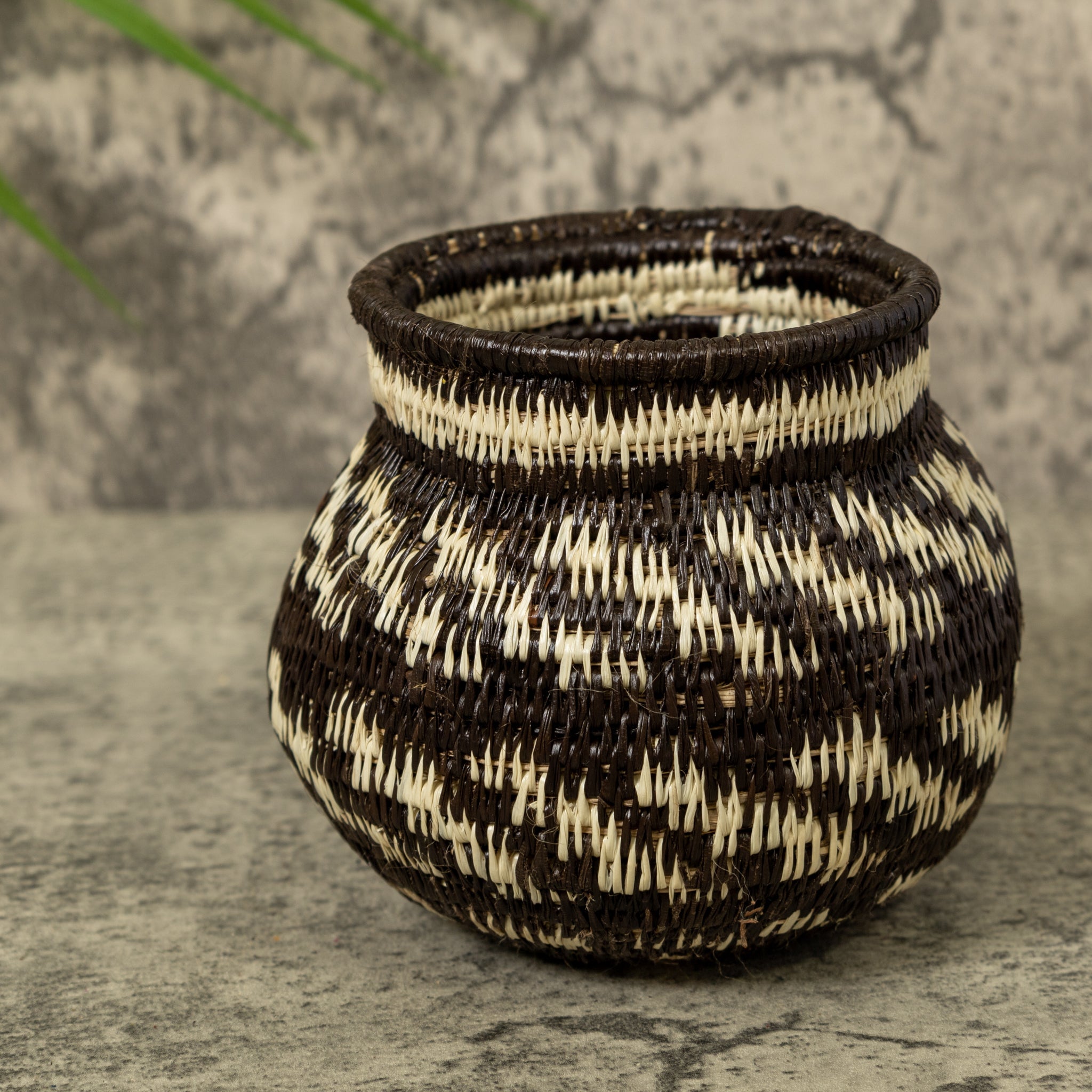 Small Black And White Rainforest Basket