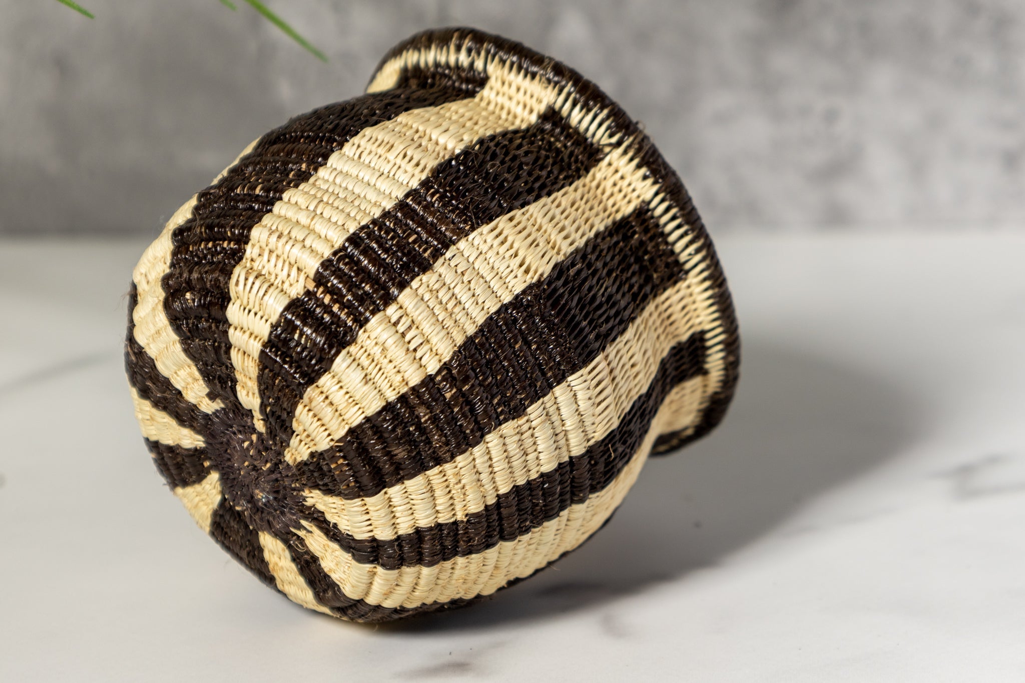Small Black And White Stripe Rainforest Basket