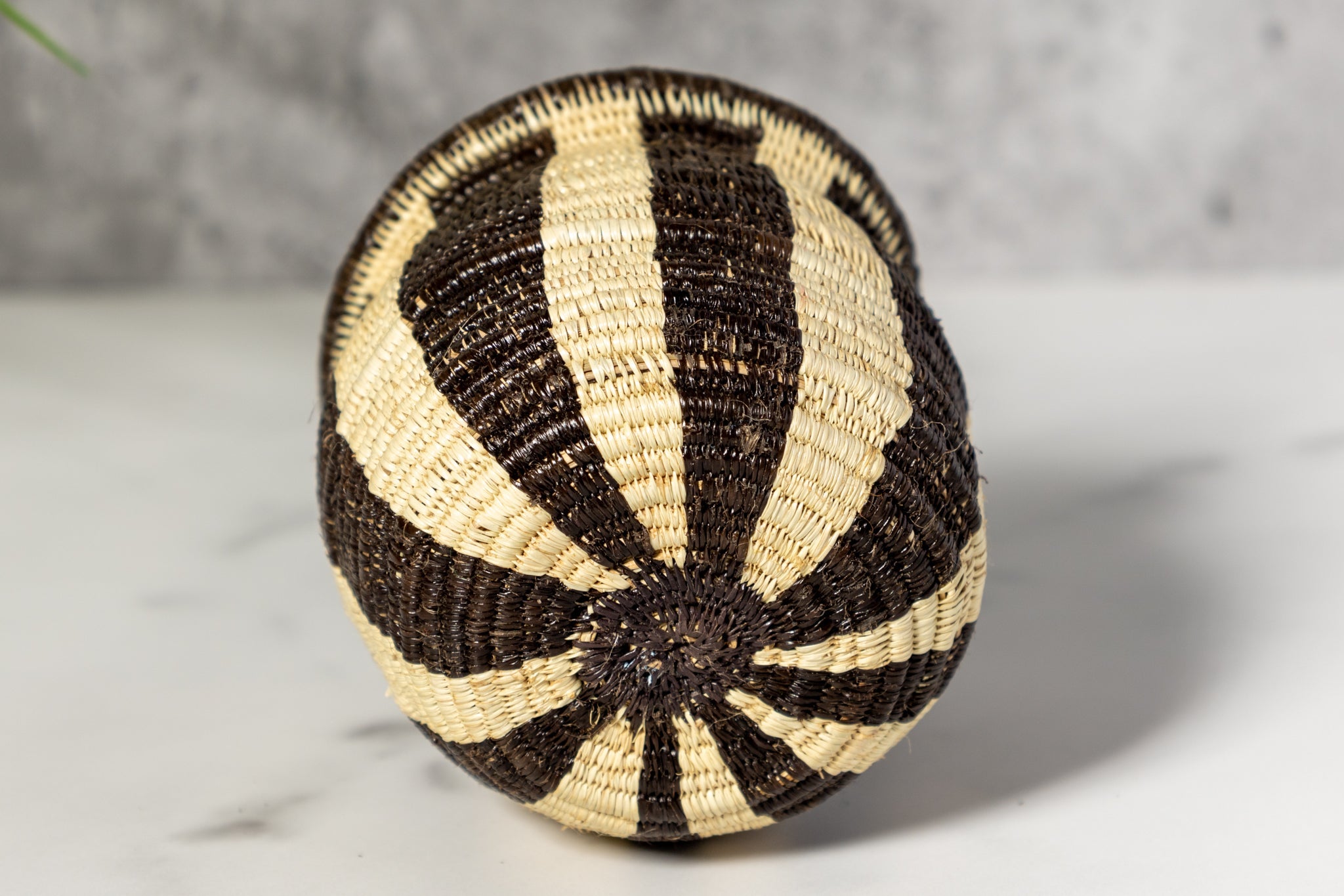 Small Black And White Stripe Rainforest Basket
