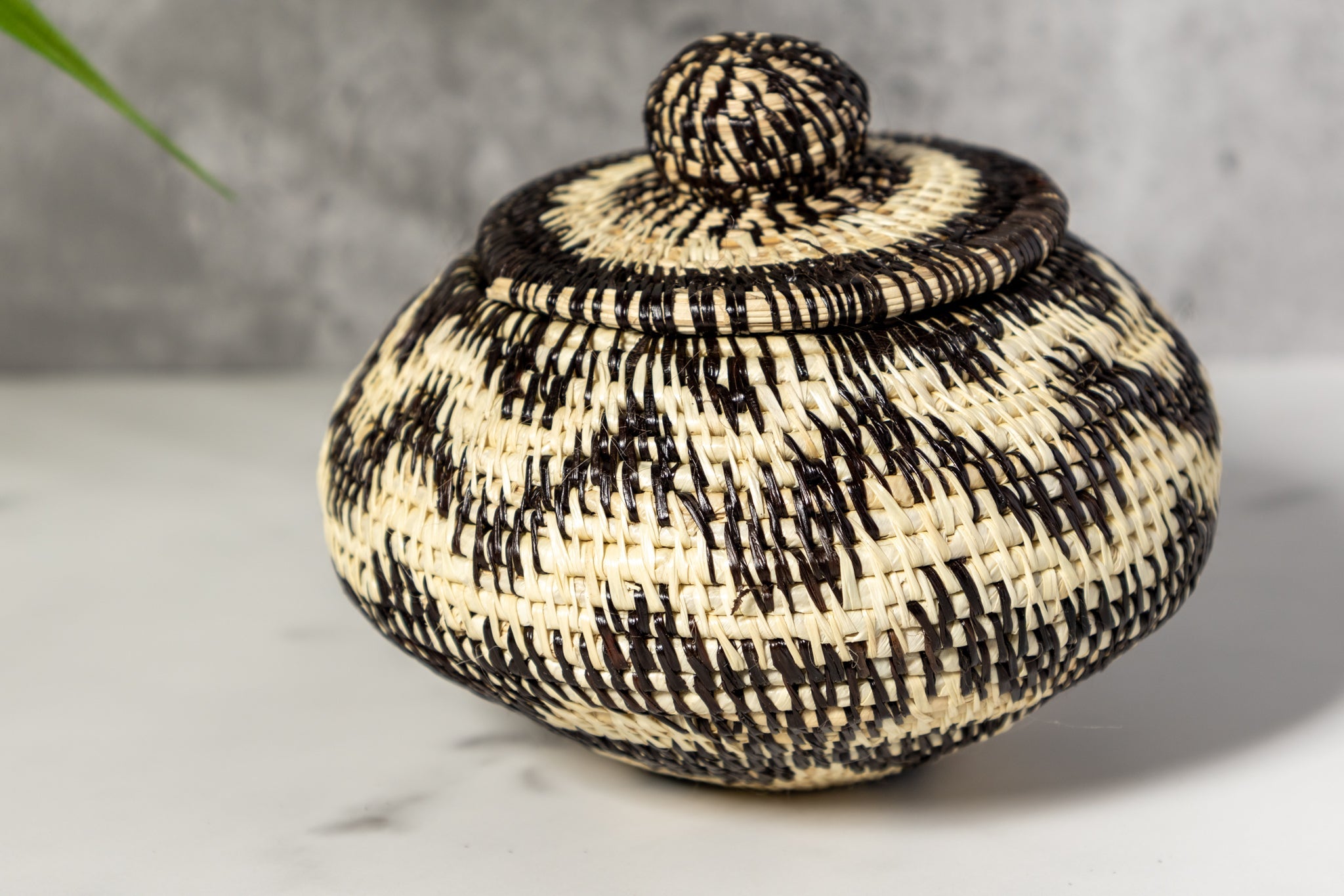 Small Black And White Rainforest Basket With Top