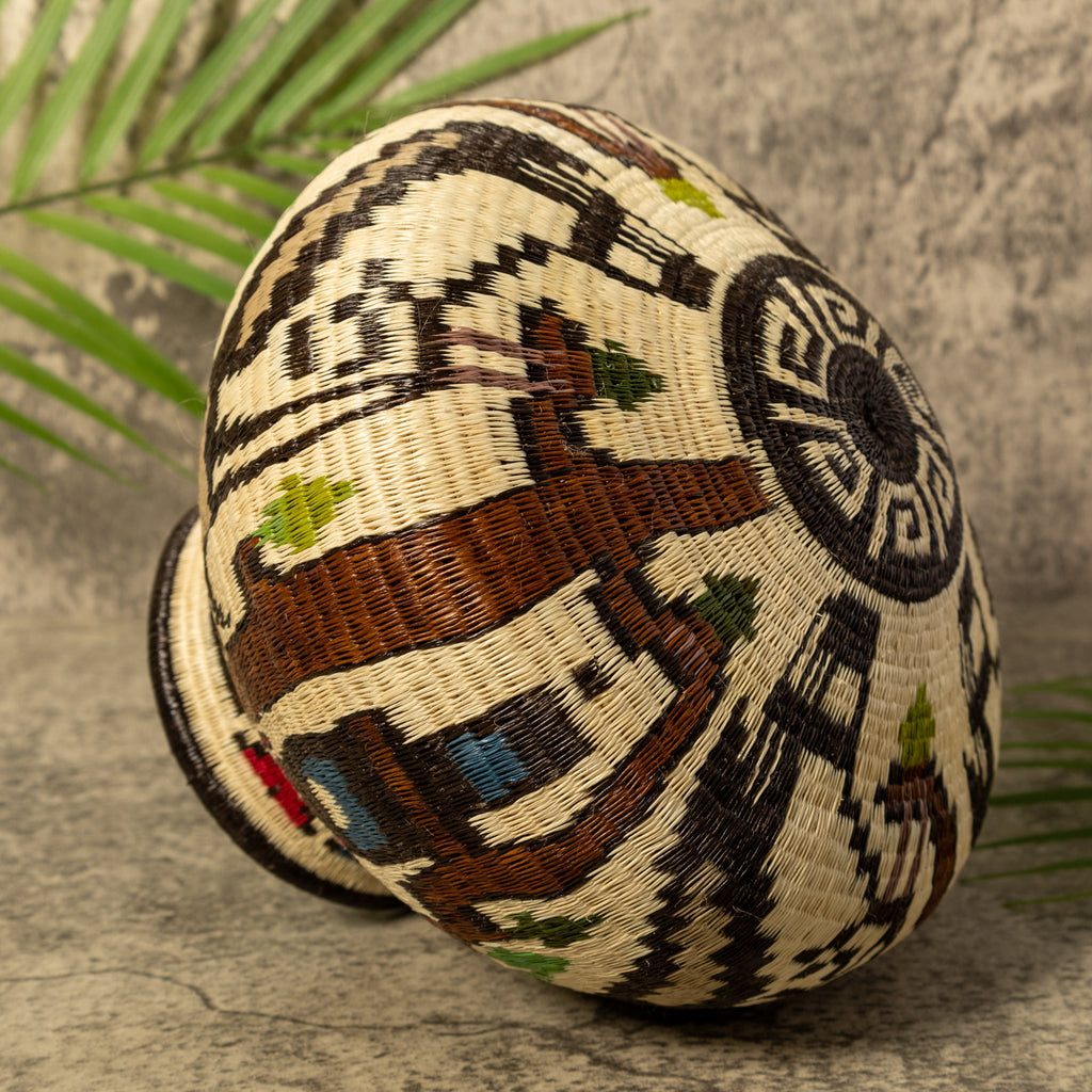 Harpy Eagle Rainforest Basket