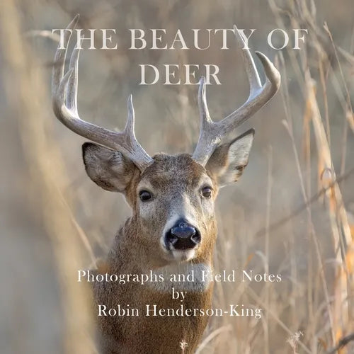 The Beauty of Deer: Photographs and Field Notes - Paperback