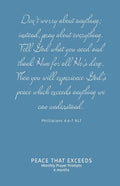 Peace That Exceeds: Monthly Prayer Prompts - Flourish - Paperback