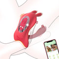 SyncRabbit APP Rabbit Wearable Couples Panty Vibrator
