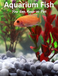 Aquarium Fish You Can Keep As Pets: A List Of Crazy, Exotic Fish To Keep As Pets - Paperback