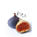 Fig - Paperback
